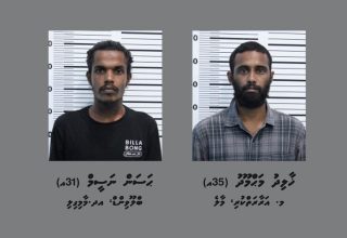 ކާރެއްގައި ރޯކޮށްލިކަމުގެ ތުހުމަތުގައި ހައްޔަރުކުރި ދެމީހުން