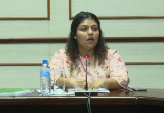 ޖީހާން މަޖިލީހުގެ ހިއުމަން ރައިޓްސް ކޮމިޓީގައި ވާހަކަދައްކަަވަނީ : ފޮޓޯ ސަންގު
