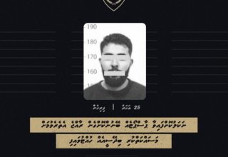 އިމިގުރޭޝަންގެ އިއުލާން