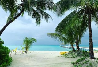 ސައުތު ޕާމް ބީޗް ރިސޯޓުން ފަތާފައި އައްޑޫ މީދޫއަށް އެރި މީހާގެ ބަންދަށް 15 ދުވަސް! - ފޮޓޯ: ޓްރިޕް އެޑްވައިސާ
