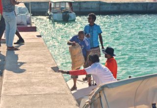 ފޮޓޯ: ފައިނު އޮންލައިން
