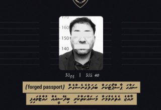 ފޮޓޯ: އިމިގުރޭޝަން