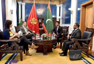 މޮންޓަނޭގްރޯގެ ފަރސްޓް ޑެޕިއުޓީ ޕްރައިމް މިނިސްޓަރާއި ރައީސުލްޖުމްހުރިއްޔާގެ ނައިބު ބައްދަލުކުރެއްވުން.