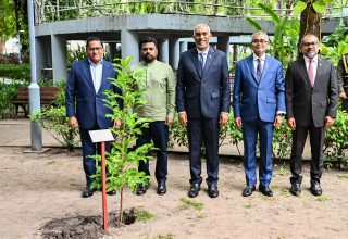 ހަރަކާތުގެ ތެރެއިން: ފޮޓޯ/ ރައީސް އޮފީސް
