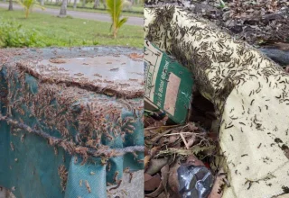 ކާޑެއްދޫ އެއާޕޯޓުގައި ހުވަނި