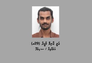 މައްސަލާގައި ހައްޔަރުކުރި އާނިމް.-- ފޮޓޯ: ޕޮލިސް