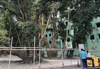 ފުނަވާގައި ހުރި ގަސް ކެނޑުމަށް ތައްޔާރުވަނީ.-- ފޮޓޯ: ނުހަފުރި/އެކްސް