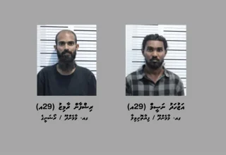 މަސްތުވާތަކެތި އެތެރެކޮށް ވިއްކާ ކަމުގެ ތުހުމަތަށް ގއ. މާމެންދޫން ހައްޔަރުކުރި ދެ މީހުން