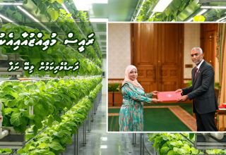 ދަނޑުވެރިކަމާއި ދިރޭ ތަކެއްޗާއި ބެހޭ ވުޒާރާ