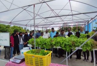 ދަނޑުވެރިކަމާއި ދިރޭ ތަކެއްޗާއި ބެހޭ ވުޒާރާ
