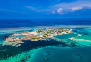 ފޮޓޯ: ގޫގުލް