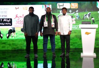 އުޟްހިޔާ ޣައްޒާއަށް