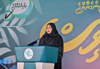ވަޒީރު ހީނާ ވަލީދު  - ފޮޓޯ: ޕީއެންސީ