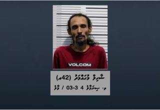 ފިލްމީ ތަރިންނާއެކު ހައްޔަރުކުރި ޝާހިލް