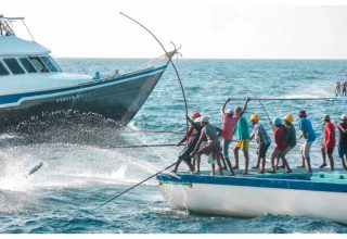 މަސްވެރިން މަސް ބޭނުން / ފޮޓޯ: ސަރުކާރު