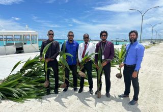 ގަސް އިންދުމުގެ ޕްރޮގުރާމްގެ ތެރެއިން