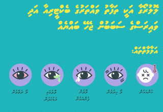 ހެލްތް ޕްރޮތެކްޝަން އެޖެންސީ