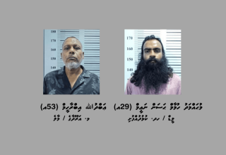މަސްތުވާތަކެތީގެ މައްސަލަ