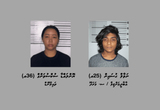 ހަށިވިއްކާކަމުގެ ތުހުމަތުގައި އައްޑޫއިން ހައްޔަރުކުރި ދެމީހުން