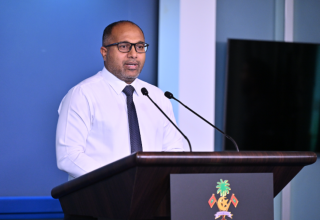 ދާޙިލީ ސަލަމާތާއި ފަންނީއްޔާތާބެހޭ ވަޒީރު ޢަލީ އިހުސާން