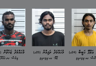 ފުލުހުންގެ ޙިދުމަތް