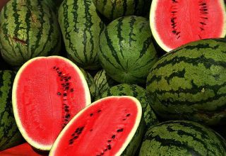 Watermelons