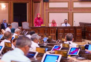 މިނިސްޓަރ އޮފް އާޓްސް، ކަލްޗާ އެންޑް ހެރިޓޭޖް ހީނާ ވަލީދު