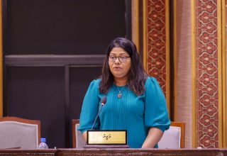 ހެލްތް މިނިސްޓަރ ޤީލާ ޢަލީ /ފޮޓޯ: މަޖިލިސް