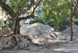 anyone-else-bothered-by-how-theyre-developing-maafannu-v0-huh0f3idyk3f1
