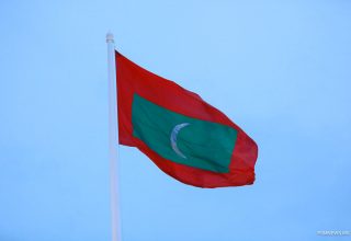 ދިވެހި ގައުމީ ދިދަ