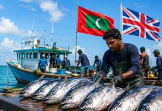 ފޮޓޯ  : ސަންގު/އޭއަި