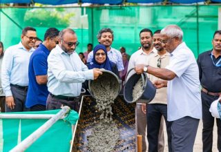 ވިލިމާލޭގައި އަޅާ މިސްކިތުގެ ބިންގާ އެޅުން/ފޮޓޯ: އިސްލާމިކް މިނިސްޓްރީ