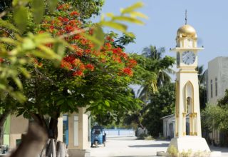 ފޮޓޯ : ގޫގުލް