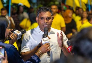 ނައިބުރައީސް ފައިސަލް ނަސީމް