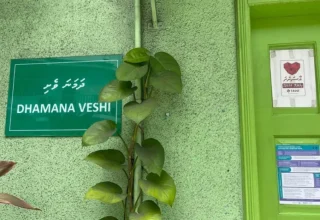 ދަމަނަވެށި