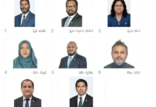 ނައިބު ރައީސްކަމަށް ކުރިމަތިލާފައިވާ ކެންޑިޑޭޓުން