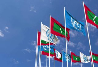 ފޮޓޯ: ވެކްޓީޒީ