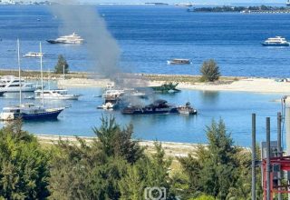 mndf