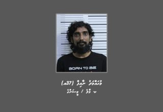 naif-3d2495fe13-876x442