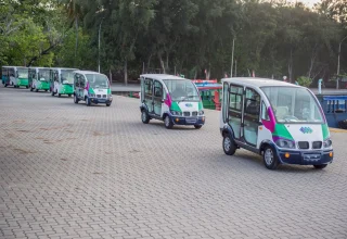 ވިލިމާލޭގައި މާލެސިޓީ ކައުންސިލުން ތައާރަފްކުރި ބަގީތައް
