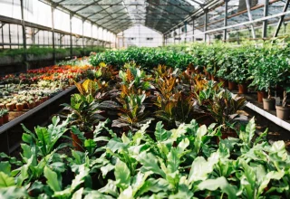 plants-1024x683-1746436598472