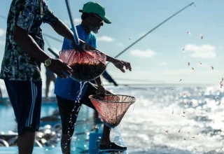 pole-and-line-fishing-4-1024x682-1760427526254