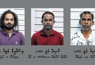ދިވެހި ފުލުހުންގެ ޙިދުމަތް