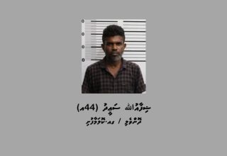 shifaau saeed