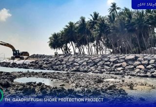 thaa gaadhifushi