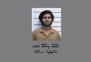 މި މައްސަލައާ ގުޅިގެން ހައްޔަރުކޮށްފައިވަނީ ގއ ދާންދޫ ސަންލައިޓްވިލާ އަޙްމަދު ރިޝްމާހު